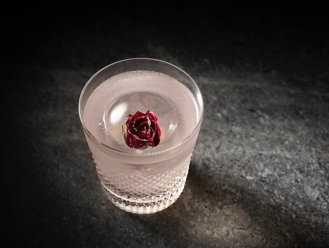 Bartender's Signature Cocktails | JW Martini